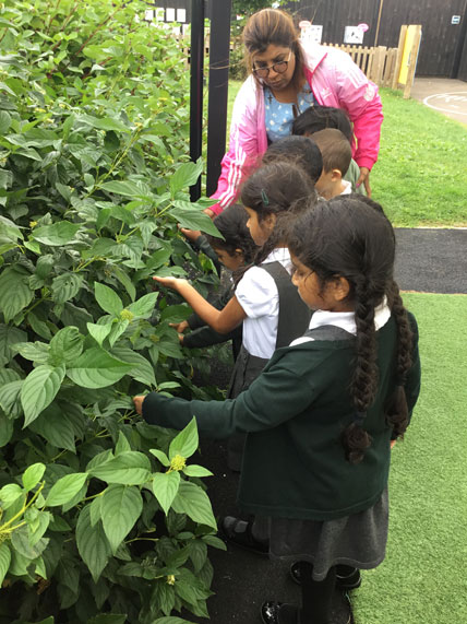 Holy Cross Catholic Primary School