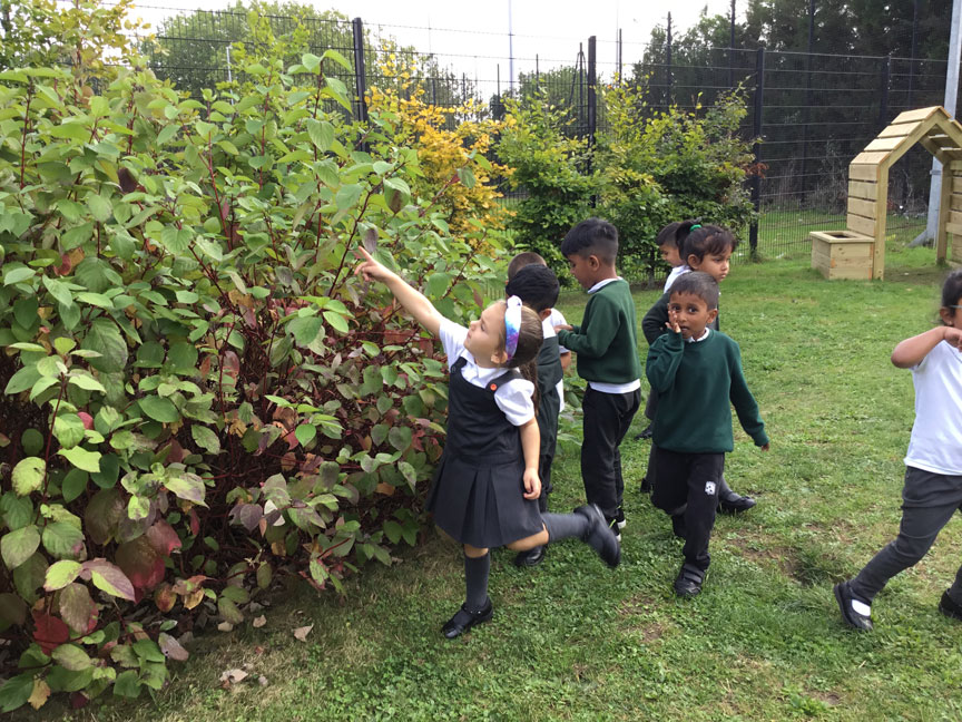 Holy Cross Catholic Primary School