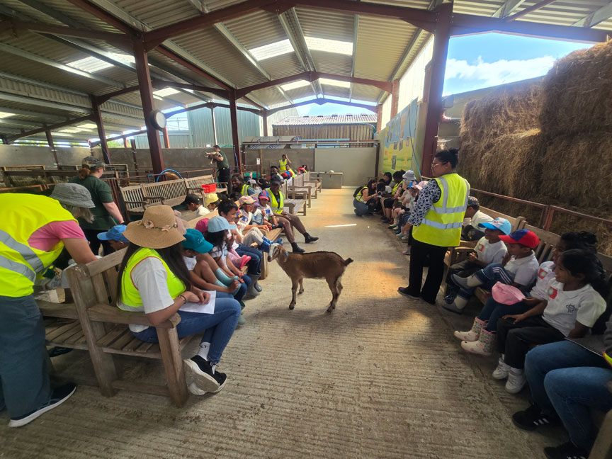Holy Cross Catholic Primary School