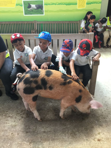 Holy Cross Catholic Primary School
