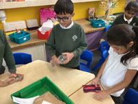 Holy Cross Catholic Primary School