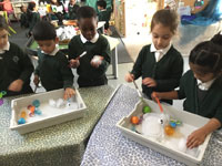 Holy Cross Catholic Primary School