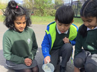 Holy Cross Catholic Primary School