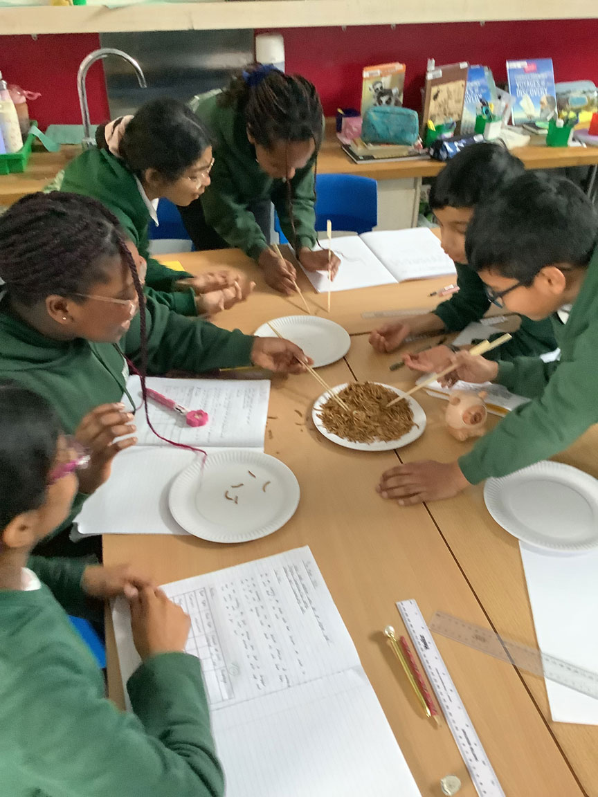 Holy Cross Catholic Primary School