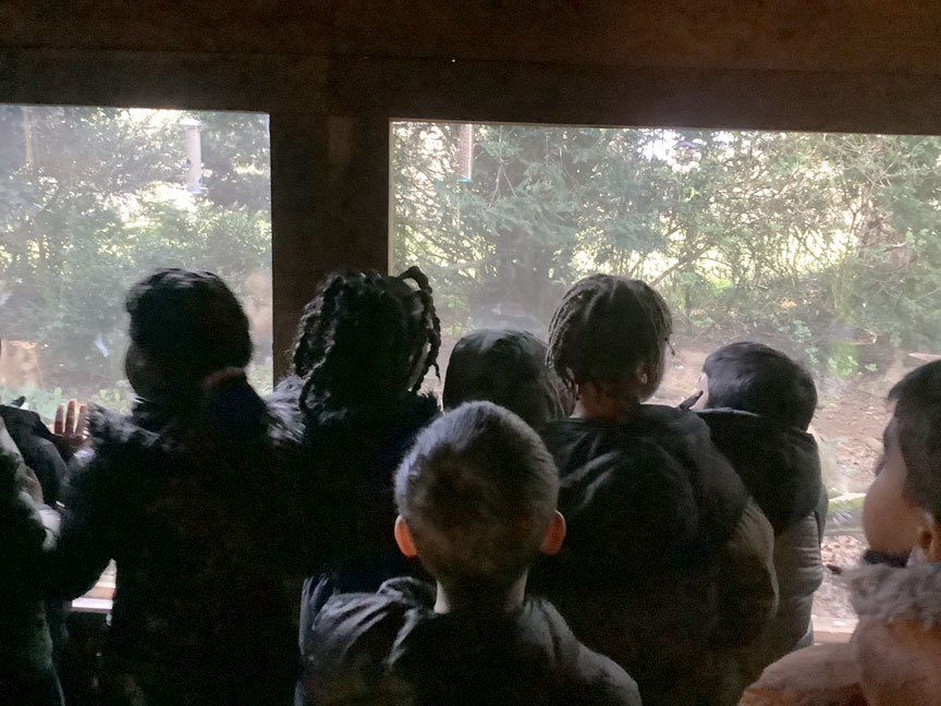 Holy Cross Catholic Primary School