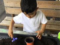 Holy Cross Catholic Primary School